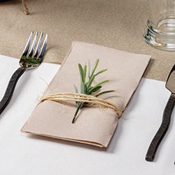 FashnPoint Natural Dinner Napkins