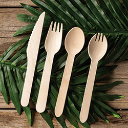 Eco-Friendly Wooden Cutlery
