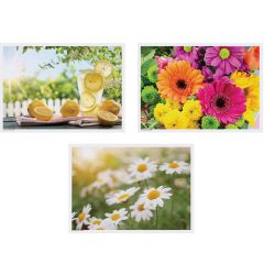 10 in x 14 in Summer Multipack Paper Placemats 1000 ct.