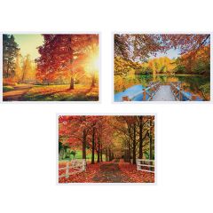 10 in x 14 in Fall Multipack Paper Placemats 1000 ct.