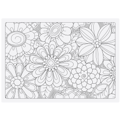 10 in x 14 in Adult Coloring Placemats and Colored Pencils Combo Pack 200 ct.