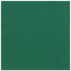 16 in x 16 in Linen-Like Hunter Green Dinner Napkins Flat Pack 500 ct.