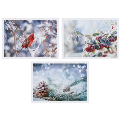 10 in x 14 in Winter Multipack Paper Placemats 1000 ct.