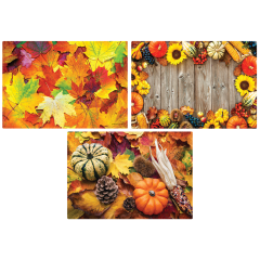10 in x 14 in Autumn Days Multipack Paper Placemats 1000 ct.