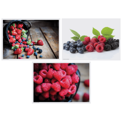 10 in x 14 in Berry Delight Multipack Paper Placemats 1000 ct.