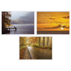 10 in x 14 in Inspirations Multipack Paper Placemats 1000 ct.