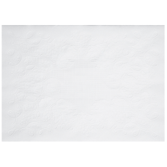 10 in x 14 in Dubonnet White Paper Placemats 1000 ct.
