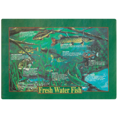 10 in x 14 in Fish Printed Placemats 1000 ct.