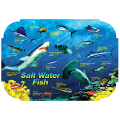 10 in x 14 in Tiffany Edge Salt Water Fish II Paper Placemats 1000 ct.