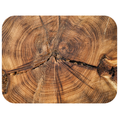Wood Grain Traymat